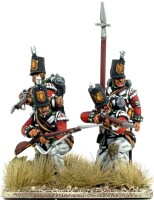 British Peninsular Infantry Centre Companies 28mm 2