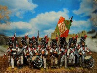 Napoleons French Old Guard Grenadiers 28mm 3