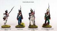Elite Companies French Infantry 1807-1814 28mm 2