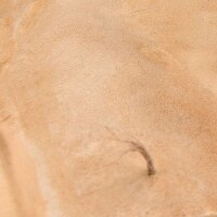 AK Interactive Terrains Sandy Desert  250ml 3
