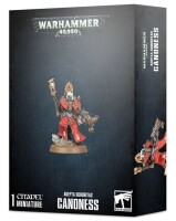Adepta Sororitas Canoness