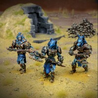 KoW Empire of Dust Enslaved Guardian Regiment 2