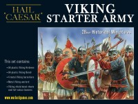 Viking Starter Army 28mm gallery