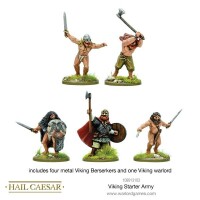 Viking Starter Army 28mm 3