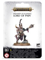 Hedonites of Slaanesh Lord of Pain gallery