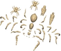 Classic Fantasy Giant Spiders 28mm 4