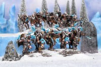 KoW Northern Alliance Ice Kin Hunters / Half-Elf Berserkers 