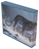 Album´n´Case Artist Edition #1 The Hunters Quest