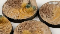 Deserts of Maahl Battle Ready Bases Rund 50mm (3) 2