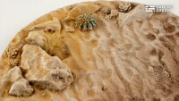 Deserts of Maahl Battle Ready Bases Rund 100mm (1) 2