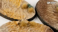 Deserts of Maahl Battle Ready Bases Oval 75x42mm (3) 2