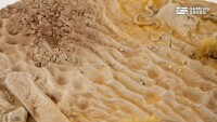 Deserts of Maahl Battle Ready Bases Oval 170x105mm (1) 2