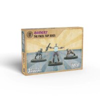Fallout Wasteland Warfare Raiders Pack T gallery