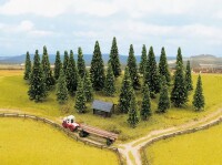 Noch Modellfichten 10 Stück 6-15cm hoch 3