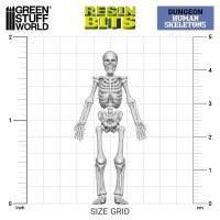 Menschliche Skelette Set (4) 2