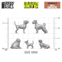 Kleine Hunde Set (24) 2