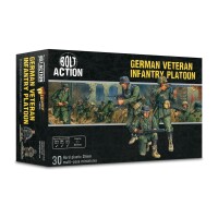 German Veteran Infantry Platoon 28mm gallery