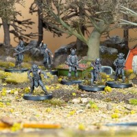 Fallout Wasteland Warfare Cult of the Mothman Followers 2