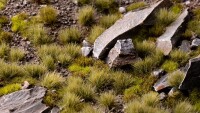 Dry Green Tufts 6mm Wild 3