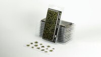 Laser Plants Dumb Cane gallery