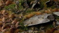 Laser Plants Dry Bracken 3