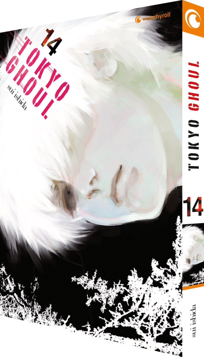 Tokyo Ghoul Band 14 Finale (Deutsch)
