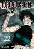 Jujutsu Kaisen Band 22 (Deutsch)