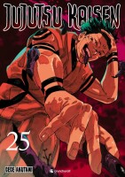 Jujutsu Kaisen Band 25 (Deutsch)