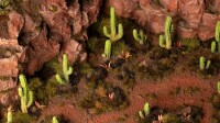 Saguaro Cacti Basing Bits 5