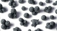 Barrel Cacti Basing Bits 2