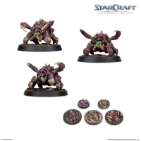 StarCraft Zerg Starter Set (Englisch) 5