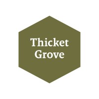 Warpaints Fanatic Thicket Grove 18ml (John Blanche) 2