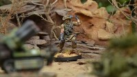 Ariadna Hardcases, 2nd Irregular Frontiersmen Battalion (Tac