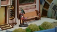 Yu Jing Dragon Lady Imperial Service Judge 3